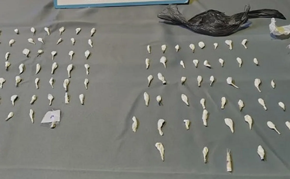 Encontraron más de un kilo de marihuana y 55 dosis de cocaína en dos allanamientos en Perico