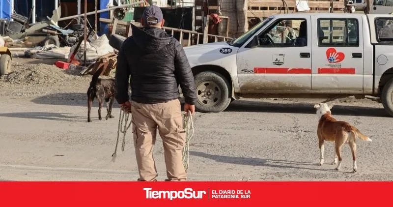 Río Gallegos en Orden: más de 100 infracciones en los primeros operativos
