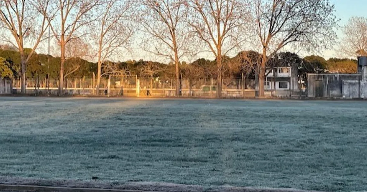 Heladas en General Alvear: el costo que solo algunas fincas pueden pagar