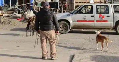 Más de 100 notificaciones en los primeros operativos de Río Gallegos en Orden: qué encontraron