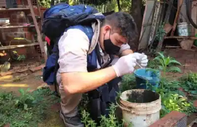Lanzan en Posadas un operativo contra el mosquito del dengue: qué barrios recorrerán