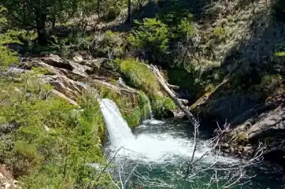 El refugio natural de Neuquén que combina bosques, fauna y tradiciones ancestrales