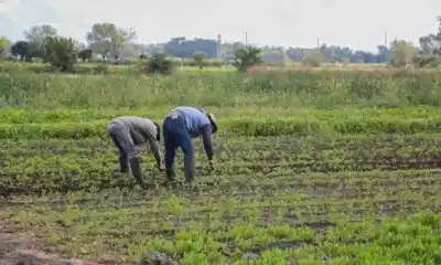 UATRE reveló una cifra alarmante sobre el trabajo rural en la Argentina