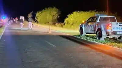 Un motociclista perdió la vida tras chocar contra un ciervo en Laishí