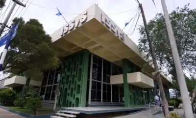 Alerta en Chubut: detectaron 404 casos de VPH de alto riesgo en casi 3.000 estudios