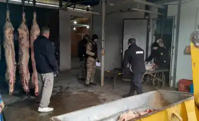Frigorífico ilegal en Monte Nievas: sospechan que usaban sellos falsos para vender la carne