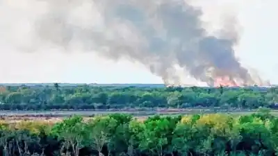 Alerta en el Delta: 36 focos de incendio y una advertencia que preocupa