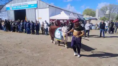 El remate que superó los $1.000 millones y casi no dejó animal sin vender