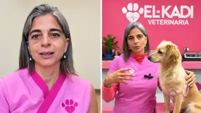 Una veterinaria tucumana llevó al Colegio a la Justicia: "Me quisieron silenciar"