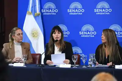 Una fueguina al frente de la comisión que define la agenda climática del país