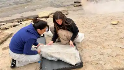 Un niño encontró huellas de dinosaurios en un lago de Neuquén: por qué el hallazgo es único