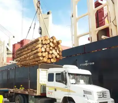 El desplome del consumo de madera: 40% menos y una industria que se reconcentra