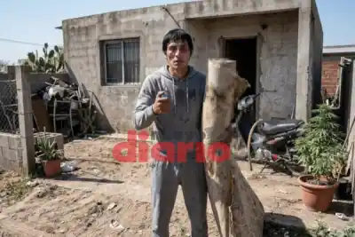 Quiso ahorcar a su pareja y prender fuego la casa: el nene de 3 años que intentó defenderla