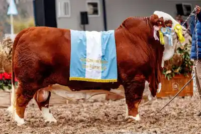 El toro tucumano que se quedó con el Gran Campeonato en Palermo y proyecta al NOA