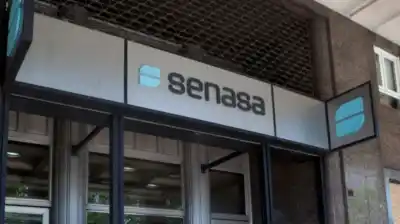 El SENASA tomó una decisión clave que cambiará la vida de productores y empresas: lo que ya no tendrán que presentar
