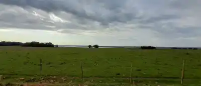 Un megaemprendimiento en Posadas recibió el visto bueno ambiental, pero con una condición que lo complica