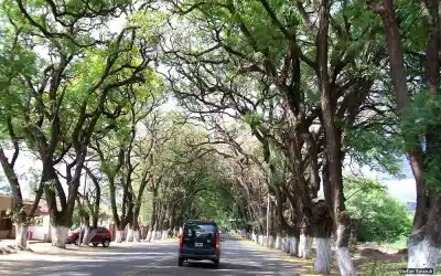 Media sanción para proteger las tipas históricas de Valle Viejo: qué implica