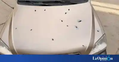 Balearon un auto y una casa en Caleta Olivia: contaron más de 30 disparos en la madrugada