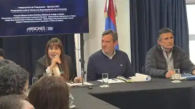 Silvana Giménez pidió $2.555 millones para Trabajo y lanzó una advertencia que preocupa a Misiones