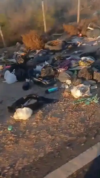 Cansados de la basura en la Ruta 147: el video de un vecino que expone lo que nadie mira
