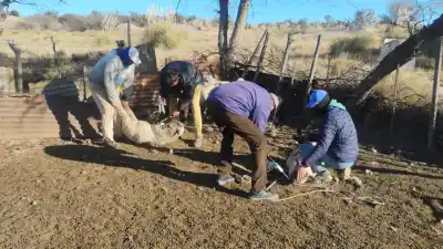 Un operativo rural dejó un dato que preocupa en Rincón del Carmen