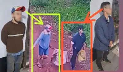 Cayó el segundo sospechoso del robo de mandioca en una chacra de Oberá
