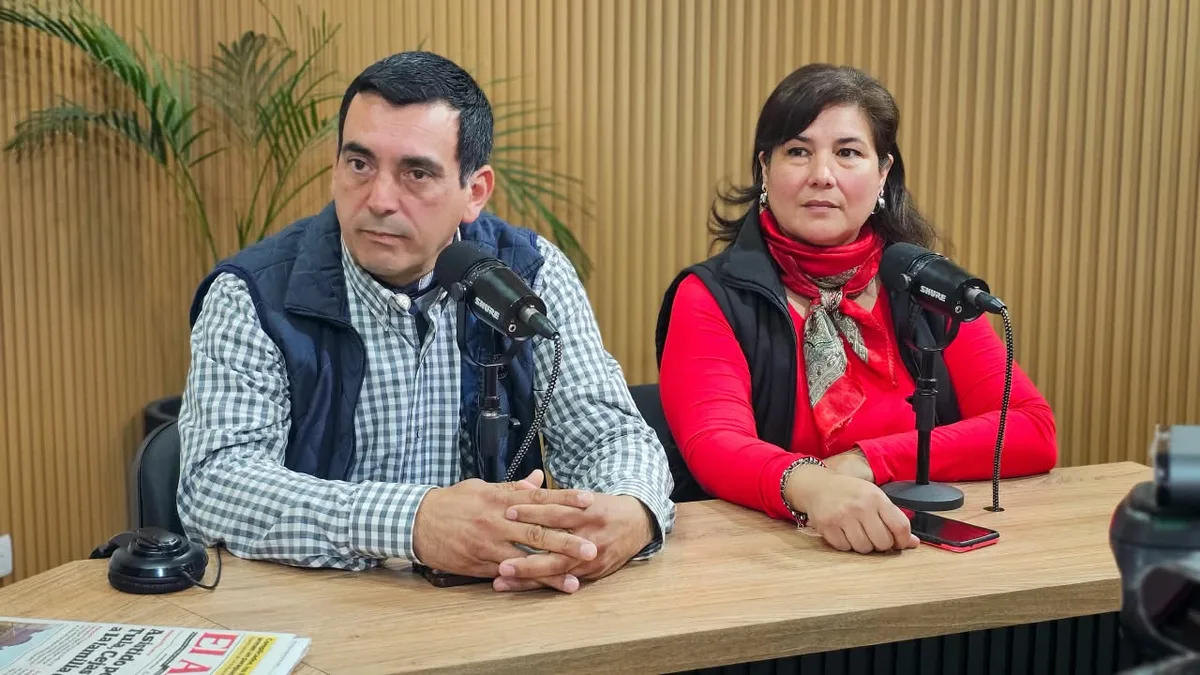 Detectan un caso de rabia bovina en Catamarca: qué síntomas presenta el ganado y cómo prevenirla
