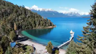 El bosque patagónico que habría inspirado a Disney: ¿realidad o leyenda?