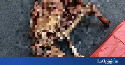 Pusieron un esqueleto en la calle para asustar y lo que lograron fue movilizar a toda una ciudad