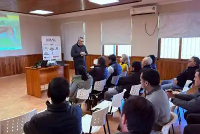 El costo de la energía que complica a los aserraderos: la DPEC escuchó pero no anunció alivio