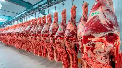 El precio de la carne vacuna tocó su límite: el dato clave que anticipa qué pasará en las góndolas