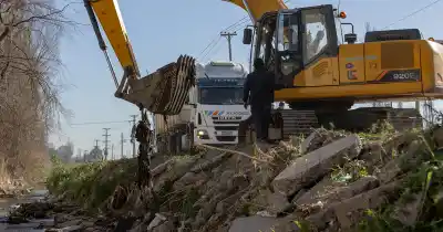 Maipú refuerza la limpieza de cauces y acequias: el dato de los árboles intervenidos