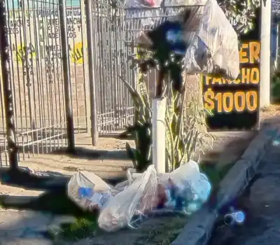 Sacan la basura de noche y los perros la desparraman: el reclamo de un vecino de Eva Perón