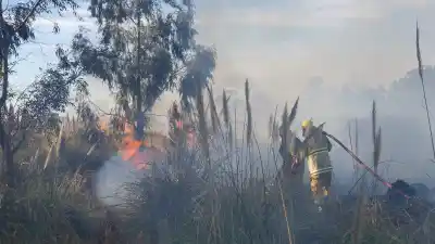 Un incendio en General Pico movilizó a bomberos y policía: el fuego amenazó una quinta