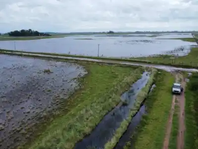 El campo inundado: qué beneficios consiguieron los productores de 9 de Julio y Necochea