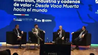 Malvinas: el respaldo de tres gobernadores a Milei que expone una grieta en el Congreso
