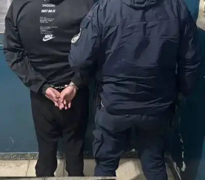Le robaron la consola y lo atraparon: el detalle que delató al joven de 21 años