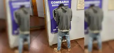 Quiso esconderse de la Policía en un árbol, pero el plan le salió mal