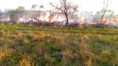 Incendio en Campo San Juan: el viento complica el operativo y suman un avión hidrante