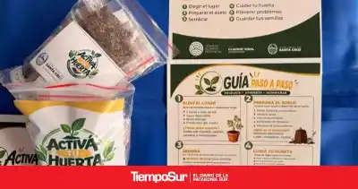 Activa tu huerta: quiénes pueden acceder a los 5.000 kits de semillas que reparte Santa Cruz