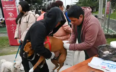 Faltan vacunas antirrábicas en la ciudad y el municipio salió a cubrir un faltante que atribuye a Nación