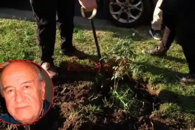 El emotivo homenaje a Mario Alarcón Muñiz que terminó con un árbol plantado en su nombre