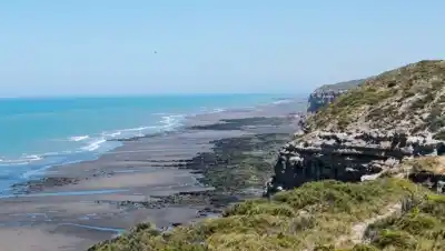Alerta en la costa rionegrina: prohibido recolectar y comer moluscos en Pozo Salado