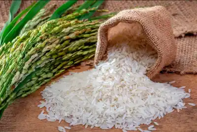 Lanzan un sello que certifica el origen del arroz entrerriano: qué exige