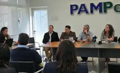 Inversión millonaria para el nuevo parque solar de General Pico: dos empresas compiten por el proyecto