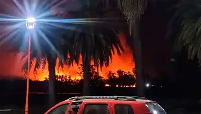 Un incendio encendió la noche en Rubia Moreno: las llamas se vieron desde el otro lado del río