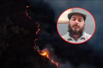 Incendios en el Delta: el alerta de un guía isleño sobre un daño que podría ser irreversible