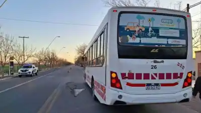 Pelea en un colectivo de la Red Tulum: qué encontró la policía al subir
