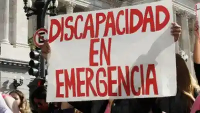 Transportistas de discapacidad de Santa Fe van al Congreso: qué buscan lograr este miércoles