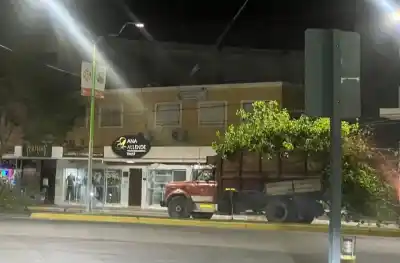 Podaron árboles en Caucete en una fecha prohibida: qué dice la ordenanza